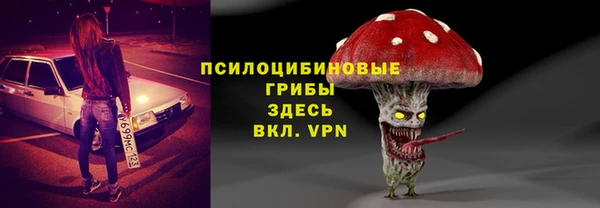 спиды Алексеевка