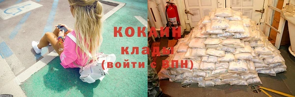 винт Алзамай