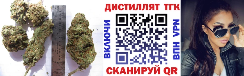 KRAKEN ссылки  продажа наркотиков  Нижнеудинск  ТГК THC oil 