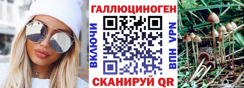 Псилоцибиновые грибы Psilocybine cubensis  Нижнеудинск 