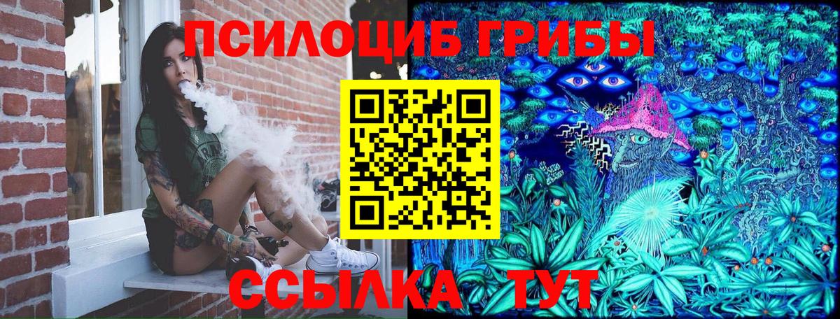 Галлюциногенные грибы Psilocybine cubensis  Вход с VPN  наркотики  Нижнеудинск 